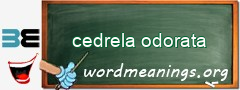 WordMeaning blackboard for cedrela odorata